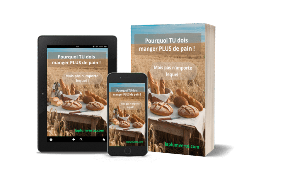 Présentation format mockup de l'ebook ''Pourquoi Tu dois manger PLUS de pain - mais pas n'importe lequel !''