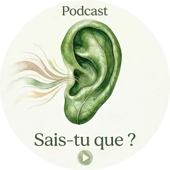 Image symbolisant l'endroit de l'emplacement d'un audio dans une article de blog.