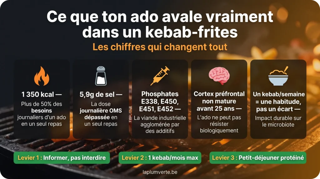 Infographie récapitulative sur les dangers du kebab pour l'adolescent : 1350 kcal, 5,9g de sel, additifs phosphates et impact neurologique.